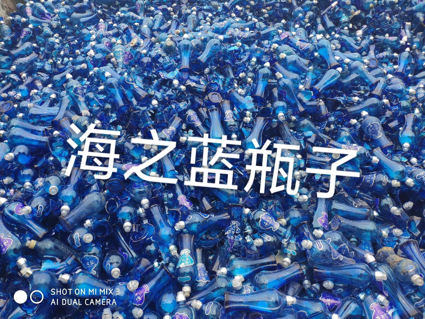 溧水区海之蓝瓶回收